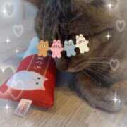 ヒメ日記 2026/01/09 09:16 投稿 広瀬 昼顔妻 五反田店