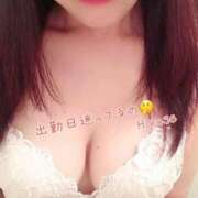 ヒメ日記 2026/05/02 10:46 投稿 広瀬 昼顔妻 五反田店