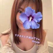 ヒメ日記 2026/05/29 07:36 投稿 広瀬 昼顔妻 五反田店