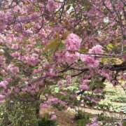 ヒメ日記 2026/04/28 14:14 投稿 りの 渋谷角海老