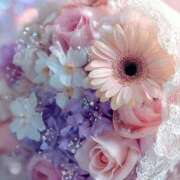 ヒメ日記 2025/09/18 04:12 投稿 なつ☆ 豊橋豊川ちゃんこ