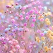 ヒメ日記 2025/09/25 17:22 投稿 なつ☆ 豊橋豊川ちゃんこ