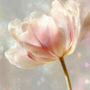 ヒメ日記 2025/10/05 03:52 投稿 なつ☆ 豊橋豊川ちゃんこ