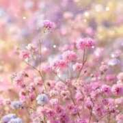 ヒメ日記 2025/10/08 20:32 投稿 なつ☆ 豊橋豊川ちゃんこ