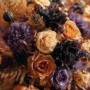 ヒメ日記 2025/11/01 03:12 投稿 なつ☆ 豊橋豊川ちゃんこ