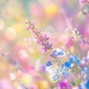 ヒメ日記 2025/11/15 23:02 投稿 なつ☆ 豊橋豊川ちゃんこ