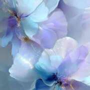 ヒメ日記 2025/11/18 17:12 投稿 なつ☆ 豊橋豊川ちゃんこ