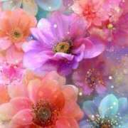 ヒメ日記 2025/11/20 22:02 投稿 なつ☆ 豊橋豊川ちゃんこ