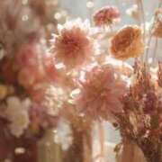 ヒメ日記 2025/12/26 20:42 投稿 なつ☆ 豊橋豊川ちゃんこ