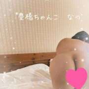 ヒメ日記 2026/04/24 11:52 投稿 なつ☆ 豊橋豊川ちゃんこ