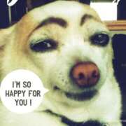 ヒメ日記 2024/12/06 15:56 投稿 めいさ club さくら日本橋店