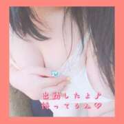 ヒメ日記 2024/12/16 08:56 投稿 めいさ club さくら日本橋店