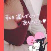 ヒメ日記 2024/12/19 17:46 投稿 めいさ club さくら日本橋店