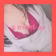 ヒメ日記 2024/12/26 16:56 投稿 めいさ club さくら日本橋店