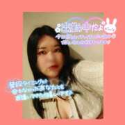 ヒメ日記 2025/03/29 09:16 投稿 めいさ club さくら日本橋店