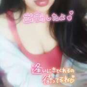 ヒメ日記 2026/03/31 09:16 投稿 めいさ club さくら日本橋店