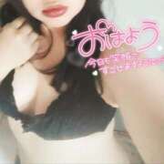 ヒメ日記 2026/04/07 09:36 投稿 めいさ club さくら日本橋店