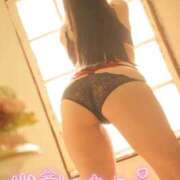 ヒメ日記 2026/08/15 09:01 投稿 めいさ club さくら日本橋店