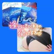 めいさ めいさ（clubさくら日本橋店） club さくら日本橋店
