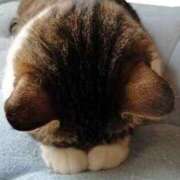 ヒメ日記 2025/05/25 12:23 投稿 はすみ 鹿児島人妻 楊貴妃