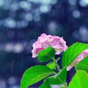 ヒメ日記 2025/06/22 09:22 投稿 はすみ 鹿児島人妻 楊貴妃