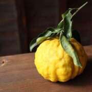 はすみ 今年1年お世話になりました 鹿児島人妻 楊貴妃