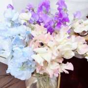 ヒメ日記 2026/02/19 00:22 投稿 さら ファーストレディ(博多)