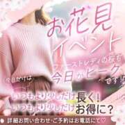 ヒメ日記 2026/04/05 15:30 投稿 さら ファーストレディ(博多)