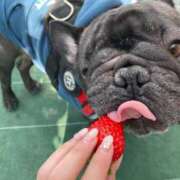 ヒメ日記 2024/12/31 07:47 投稿 ゆず アラモード