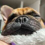 ヒメ日記 2025/01/06 18:07 投稿 ゆず アラモード