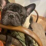 ヒメ日記 2025/01/11 10:07 投稿 ゆず アラモード