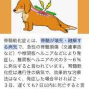 ヒメ日記 2025/02/28 23:11 投稿 ゆず アラモード