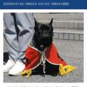 ヒメ日記 2025/04/18 08:11 投稿 ゆず アラモード