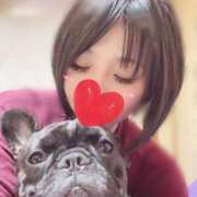 ヒメ日記 2025/04/29 13:15 投稿 ゆず アラモード