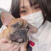 ヒメ日記 2025/05/27 09:11 投稿 ゆず アラモード