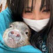 ヒメ日記 2025/07/06 14:28 投稿 ゆず アラモード