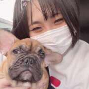 ヒメ日記 2025/07/26 07:57 投稿 ゆず アラモード