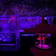 ヒメ日記 2025/09/18 06:07 投稿 ゆず アラモード