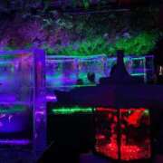 ヒメ日記 2025/10/15 09:12 投稿 ゆず アラモード