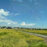 ヒメ日記 2025/11/22 17:43 投稿 ゆず アラモード