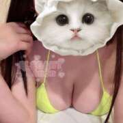 ヒメ日記 2025/11/15 12:52 投稿 Kanon Souma ELEGANT－エレガント－