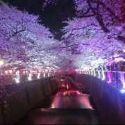 ヒメ日記 2026/03/26 13:31 投稿 Kanon Souma ELEGANT－エレガント－