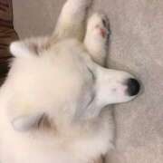 ヒメ日記 2025/02/02 12:50 投稿 まみ クラブリリー