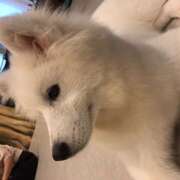 ヒメ日記 2025/02/09 12:56 投稿 まみ クラブリリー