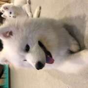 ヒメ日記 2025/05/13 12:40 投稿 まみ クラブリリー