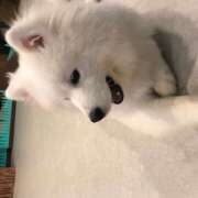 ヒメ日記 2025/06/22 12:46 投稿 まみ クラブリリー