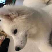 ヒメ日記 2025/08/03 13:14 投稿 まみ クラブリリー