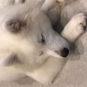 ヒメ日記 2025/09/16 12:56 投稿 まみ クラブリリー