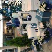 ヒメ日記 2025/11/27 13:06 投稿 まみ クラブリリー