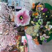 ヒメ日記 2026/03/17 13:06 投稿 まみ クラブリリー